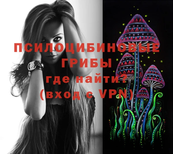 стафф Волосово