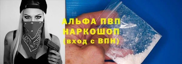 стаф Волоколамск