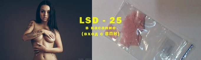 стаф Волоколамск