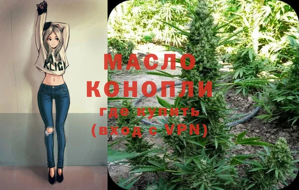 стаф Волоколамск