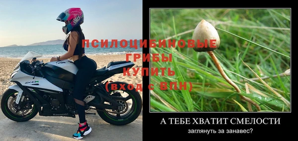 стаф Волоколамск
