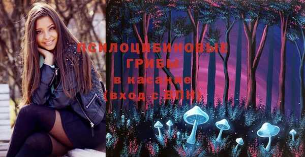 стаф Волоколамск
