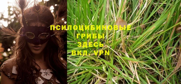 стафф Волосово
