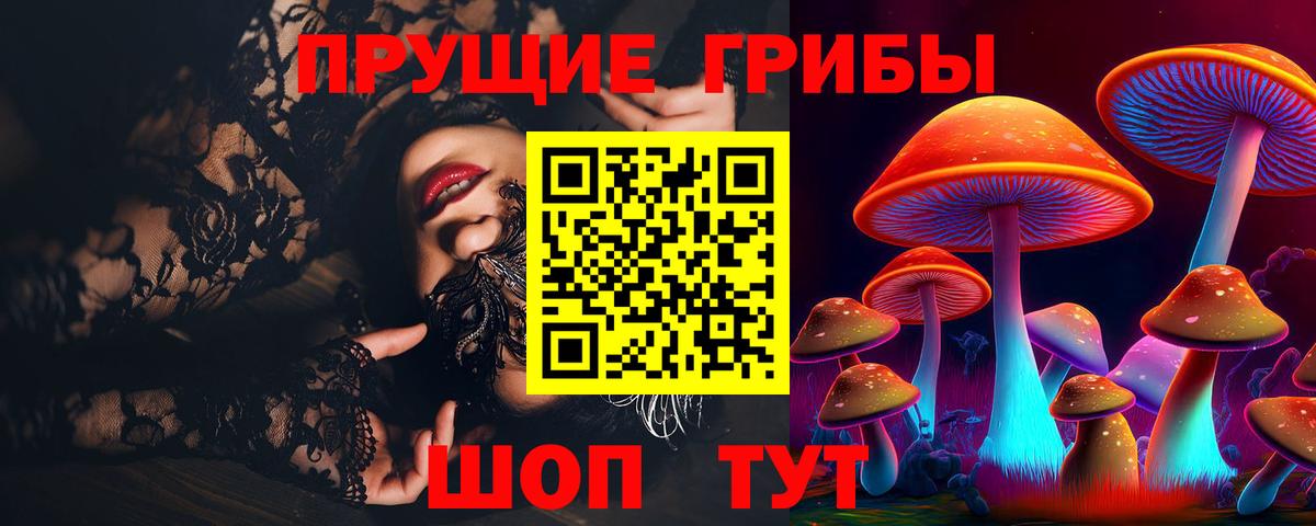 Славянск-на-Кубани  Галлюциногенные грибы GOLDEN TEACHER  Вход с VPN 